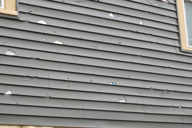 Same-Day Junk Removal Services in Clifton Springs, NY