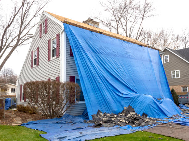 Best Carpet Removal and Disposal  in Clifton Springs, NY
